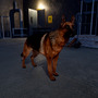 大怪我をした少年を助けたい……忠犬との友情が描かれる3DACT『Doggy Rise』Steamページ公開