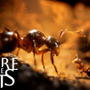 極小世界をフォトリアルに描く「蟻」ストラテジー『Empire of the Ants』ティーザー映像！