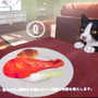 家を追われた猫の切ない物語…完全に猫になり切るアドベンチャー『COPYCAT』を試遊【TIGS2024】
