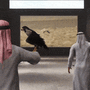 アラビアの鷹匠になる鷹狩りシミュレーター『Enter Falconry』発表！鷹との絆を深め世界中の仲間と交流
