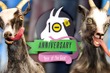 『Goat Simulator』謎のカピバラが登場する10周年記念トレイラー！DLCなど今後の展開を示唆する一幕も 画像