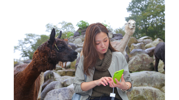 【特集】女子はアルパカ牧場でゲームをキャプれるか―秋の那須高原へ