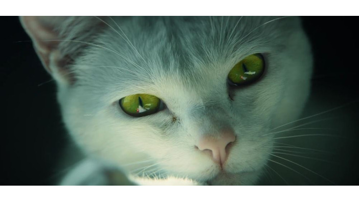 『ゴーストリコン ワイルドランズ』海外実写映像―ネコが追う赤い点の行先は？