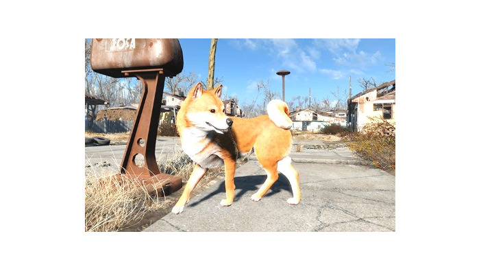 『Fallout 4』Creation Clubからめちゃめちゃ可愛い「柴犬」がリリース！一緒に連邦をお散歩できる