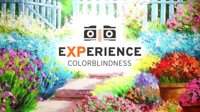 色覚異常の視界を体験できるVRアプリ『Experience: Colorblindness』配信開始