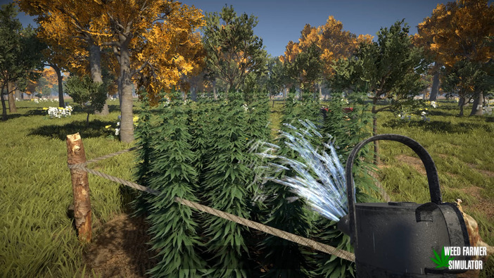 大麻農家ライフを営めるシム『Weed Farmer Simulator』Steamページが登場―2月29日に早期アクセス開始予定