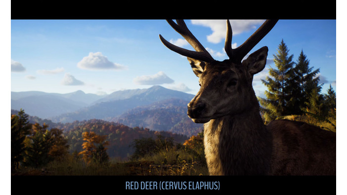 狩猟FPS『Way of the Hunter』豊かなる“影の国”へ！トランシルヴァニアの動物たちを紹介する新トレイラー公開
