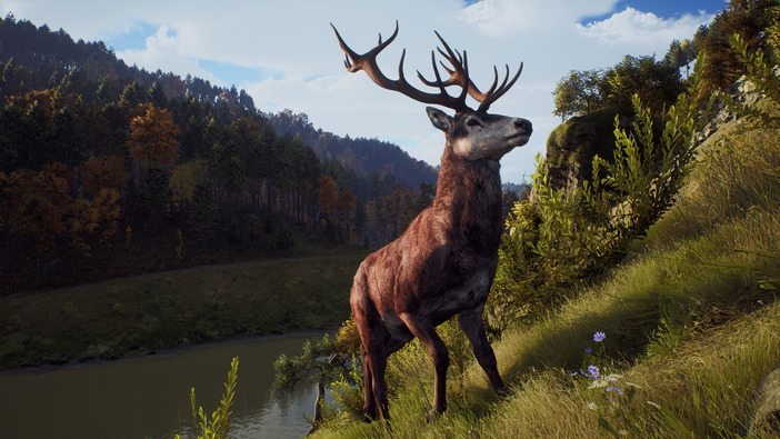 まもなく発売のオープンワールド狩猟FPS『ウェイ オブ ザ ハンター』ゲームの流れをおさらいするトレイラー公開