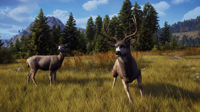 狩猟SLG『Way of the Hunter』新たな武器パック追加や不具合修正を含む最新アップデート配信