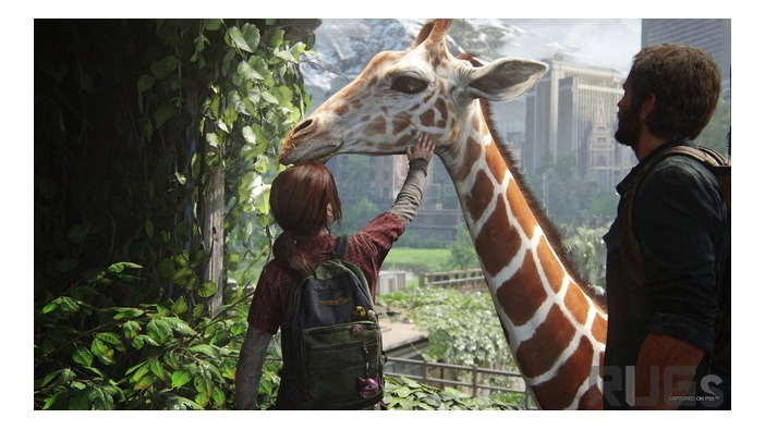 ドラマ​​「THE LAST OF US」に登場するキリン、本物だった！ゲームにも登場した印象的なシーンを実写で再現