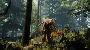 恐怖の森サバイバル『The Forest』PS4版は2018年リリース！―トレイラーやプレイ映像も 画像