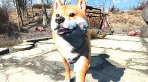 『Fallout 4』Creation Clubからめちゃめちゃ可愛い「柴犬」がリリース！一緒に連邦をお散歩できる 画像
