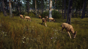 リアルな自然が待ち受けるオープンワールド狩猟FPS『Way of the Hunter』現地時間8月16日リリース 画像