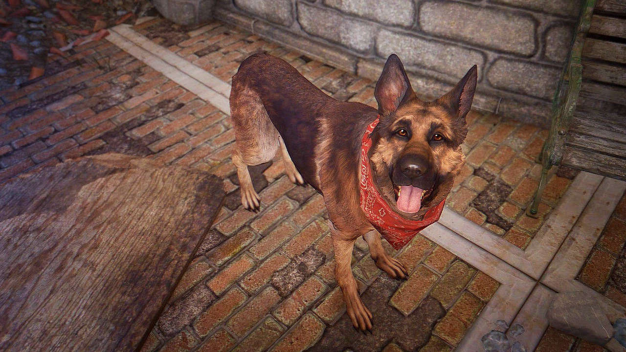 ゲームに登場する名犬 8匹 人類きっての大親友 Game Spark 国内 海外ゲーム情報サイト