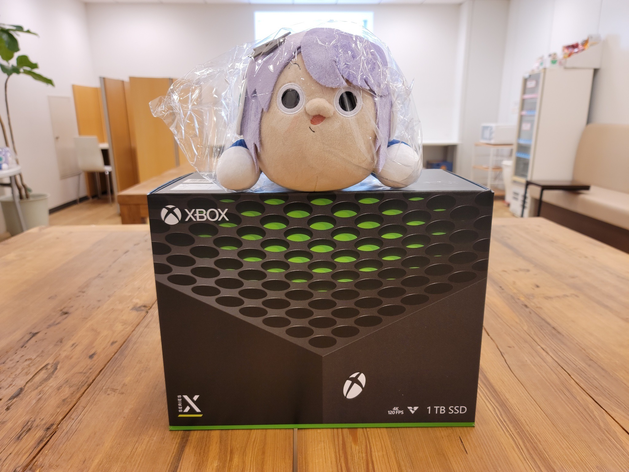 Xbox Series X|Sも編集部に到着！まずは起動前の本体をチェック | Game