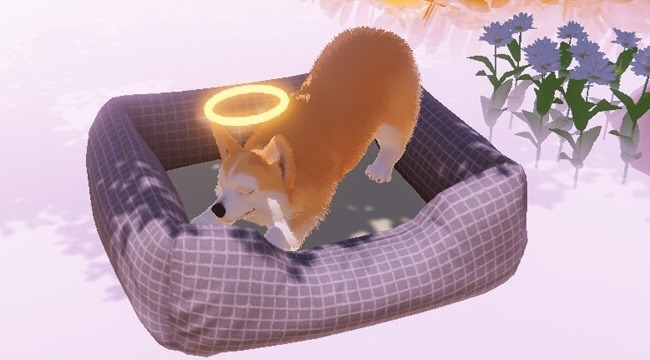 死んだ犬となって天国で飼い主を探すADV『My Little Puppy』Steam版11月発売決定!絶対泣かせにきている新トレイラー公開