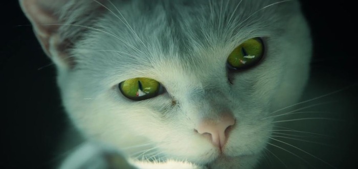 『ゴーストリコン ワイルドランズ』海外実写映像―ネコが追う赤い点の行先は？