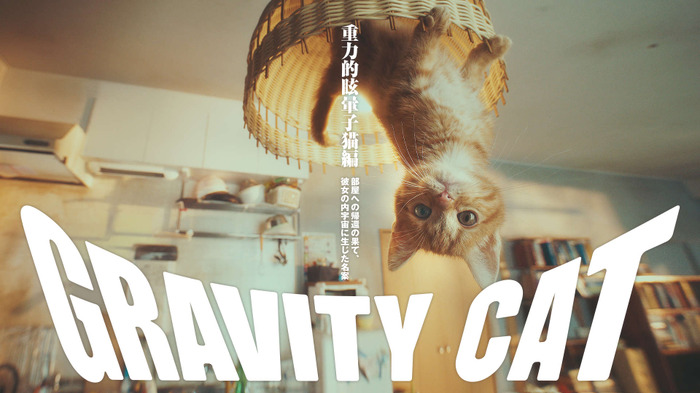 『GRAVITY DAZE 2』重力“猫”が世界を反転！？乃木坂46・伊藤万理華が「空に落ちる」新PV映像をお披露目
