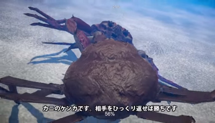 新たな魚介ゲー現る！？ 『カニノケンカ』体験版がコミケで頒布