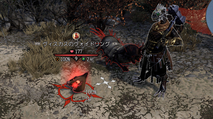 無数の組み合わせが楽しめる『ディヴィニティ:OS2』キャラクターカスタマイズ情報