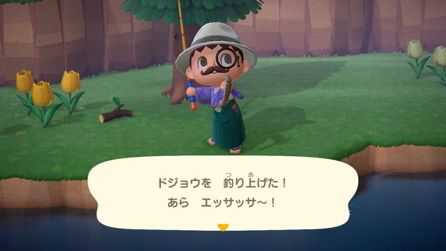 『あつまれ どうぶつの森』あなたは「オケラ」や「リュウグウノツカイ」を捕まえた? 6月にはいなくなる生物4種の出現場所・入手方法を紹介