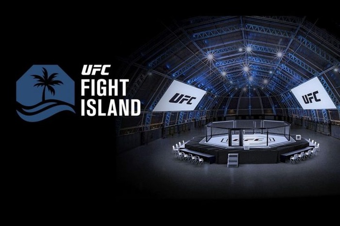 7月に行われる格闘技イベント「UFC 251」内でEA総合格闘技ゲームシリーズ最新作『UFC 4』の情報が初公開