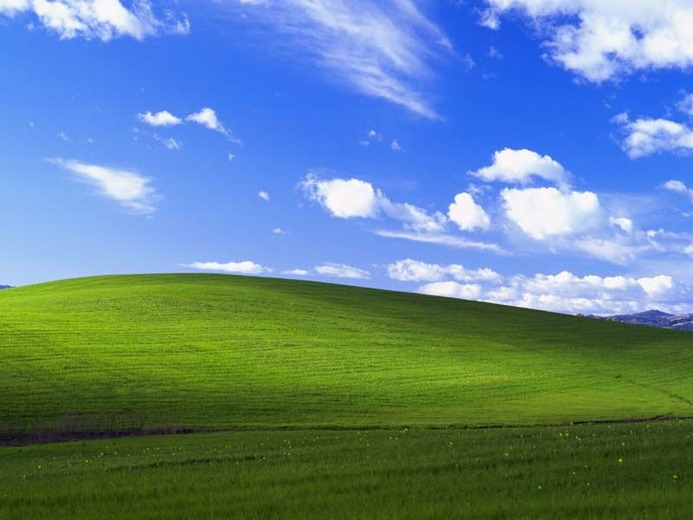 『Microsoft Flight Simulator』内で懐かしい「あの草原」が発見される―Windows XPの中を飛行しよう