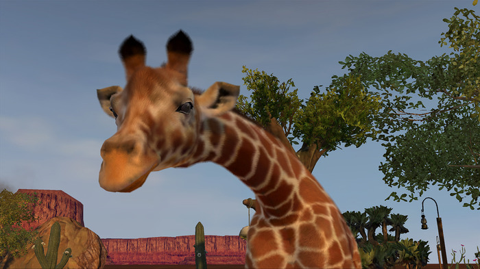 動物園経営シム最新作『Zoo Tycoon』がXbox 360にて3月20日に発売、Xbox Oneは年内予定