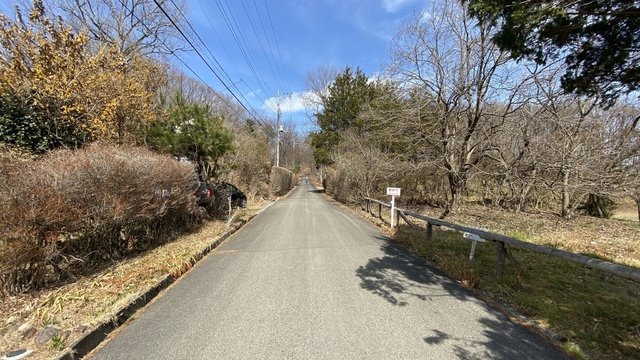 【実験】ファミコンのゴールドカートリッジ、その反射光はどこまで届く?その輝きは野山に満ちて