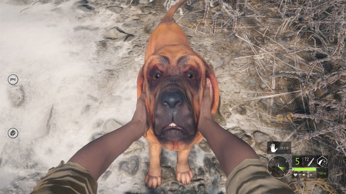 この愛犬すごいかわいいぞ！狩猟シム『theHunter: Call of the Wild』の狩猟犬DLC「Bloodhound」配信開始