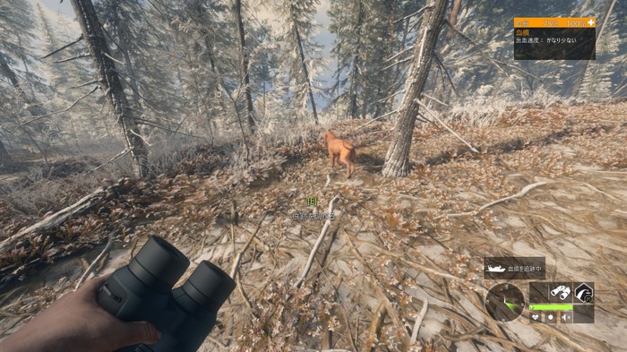 犬好き必見、DLCで愛犬のかわいさにとことん溺れよう！『theHunter: Call of the Wild』狩猟犬DLC「BLOODHOUND」の魅力【特集】