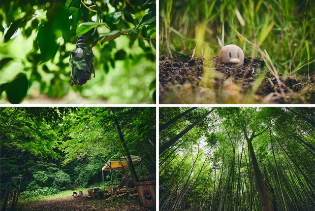 ポケモン求めてリアルな大自然を探索！「ポケモンワンダー」7月17日オープン、草木をかき分ける新たなネイチャーアドベンチャー