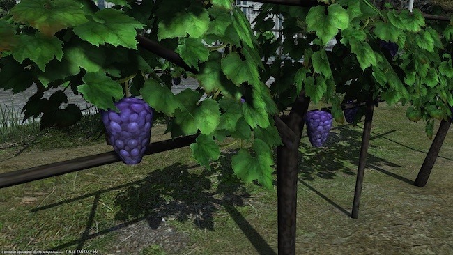『FF14』から失われた「ローポリすぎるブドウ」をペーパークラフトで再現するユーザー現る！