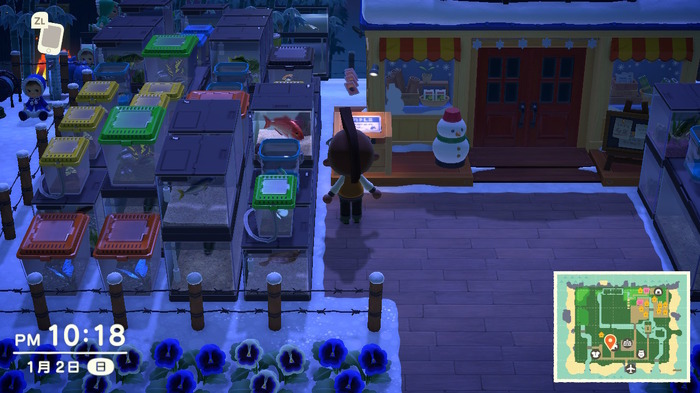 【吉田輝和の絵日記】『あつ森』で送るディストピア生活―徹底管理の階級社会、島の一大産業「モヒカン畑」など