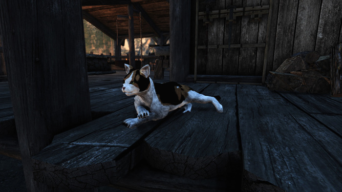 猫ちゃんを可愛がったり、誘拐したり…!?『Skyrim』猫とふれあう「A Cat's Life 2.0」MOD公開―旧版の動作を洗練化して再構築