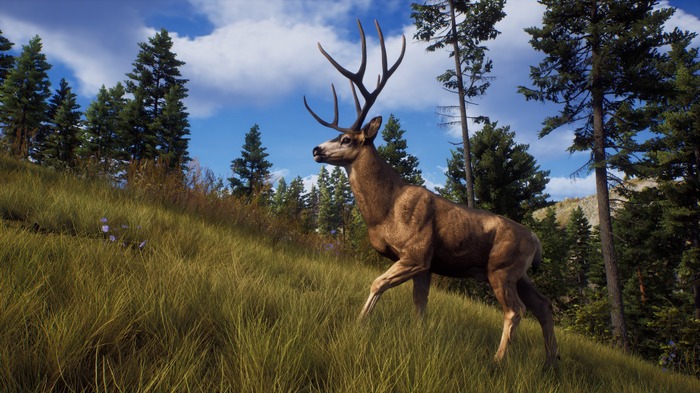 リアルな自然が待ち受けるオープンワールド狩猟FPS『Way of the Hunter』現地時間8月16日リリース