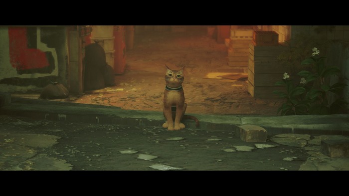 『Stray』猫ちゃんの死は悲しいが、ヒトが死ぬのも悲しい。印象的な「別れ」はなぜ生まれる？【子猫スクショあり】