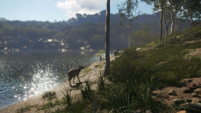 新たな狩猟地はオーストラリア！『theHunter: Call of the Wild』最新DLC「Emerald Coast」発表―リリース同時期に無料アップデートも実施