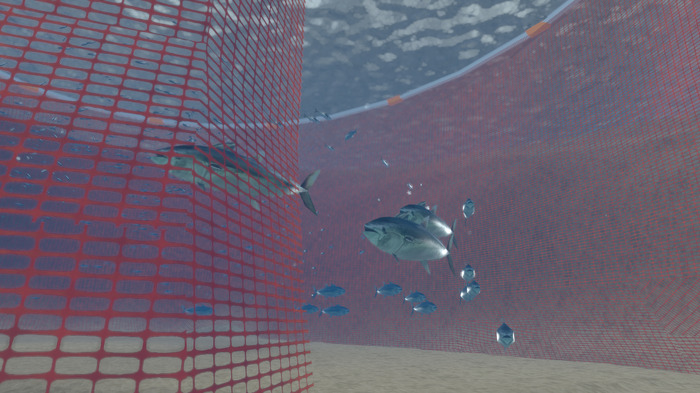 定置網のあるエリアでは、魚たちが猛烈速度泳いでいる