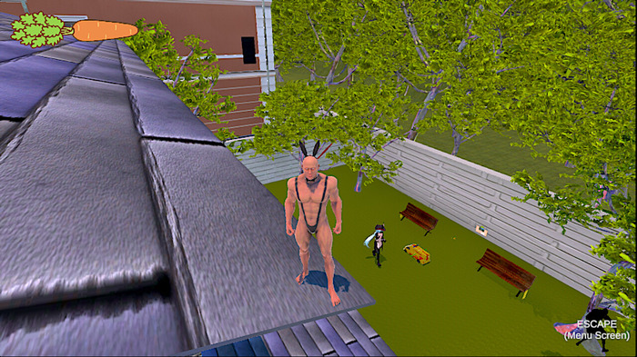 9人の少女が暮らすシェアハウス舞台の探索ステルスACT『妖精さんのにんじん』Steamで2024年1月リリース―小さな妖精さんが隠れながら家の中を大冒険