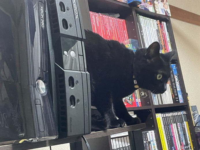 ネコオープンワールド『Little Kitty, Big City』の“ネコ具合”はいかほど? ネコ好きライターがチェック!【特集】