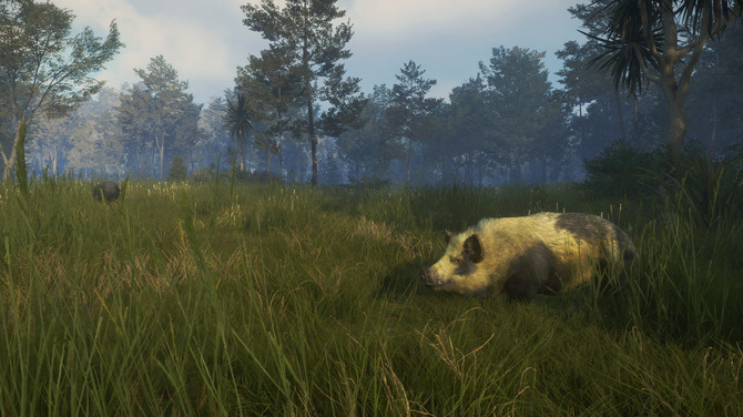 ニホンジカも狩猟可能 Thehunter Call Of The Wild ニュージーランド舞台の新dlc Te Awaroa National Park 配信開始 3枚目の写真 画像 Game Spark 国内 海外ゲーム情報サイト ニホンジカも狩猟可能 Thehunter Call Of The Wild ニュージーランド舞台の新dlc Te Awaroa National Park 配信開始 3枚目の写真 画像 Game Spark 国内 海外ゲーム情報サイト