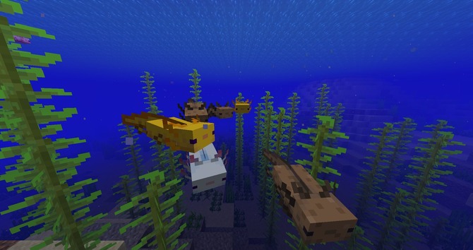 マインクラフト 最新スナップショットw51a公開 新mob Axolotl がとてもかわいい 2枚目の写真 画像 Game Spark 国内 海外ゲーム情報サイト マインクラフト 最新スナップショットw51a公開 新mob Axolotl がとてもかわいい 2枚目の写真 画像 Game Spark 国内 海外ゲーム情報サイト
