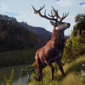 まもなく発売のオープンワールド狩猟FPS『ウェイ オブ ザ ハンター』ゲームの流れをおさらいするトレイラー公開 画像