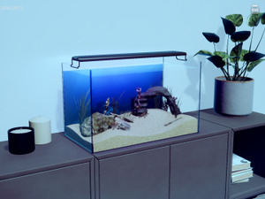 マッチョ育成鑑賞シム『マチョリウム -Muscle Aquarium Simulator-』リリース―プロテインを与え飾って眺める放置型＆サンドボックス 画像