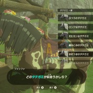 特集 ゼルダの伝説 Botw 勇者のためのライフハック 冒険がちょっと楽しくなる6項目 5ページ目 Game Spark 国内 海外ゲーム情報サイト