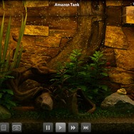 アクアリウムシミュレータ Biotope プレイレポート Pc上で観賞魚を飼育して癒されよう Game Spark 国内 海外ゲーム情報サイト