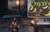 海外配信者、『DARK SOULS III』を“電極付きバナナ”コントローラーで制覇 画像