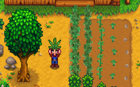 普通の作物にはもう飽きた？『Stardew Valley』に大麻を栽培できるModが登場！―売人にだってなれる 画像