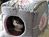 どっちもかわいい！コンパニオンキューブ型の猫ハウス“Catpanion Cube” 画像